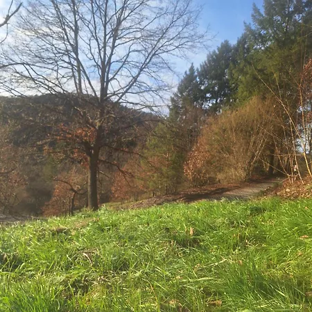 Jurte Fuer Naturliebhaber Luxury tent *