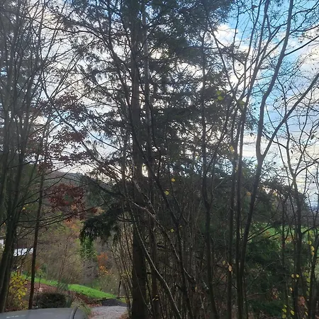 Campismo de Luxo Jurte Fuer Naturliebhaber *