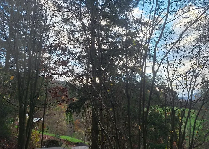 Luxussátor Jurte Fuer Naturliebhaber *